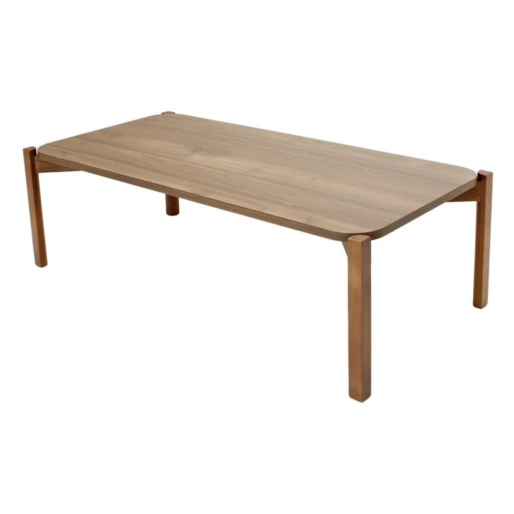 Mesa Rec Palu 100x50 2