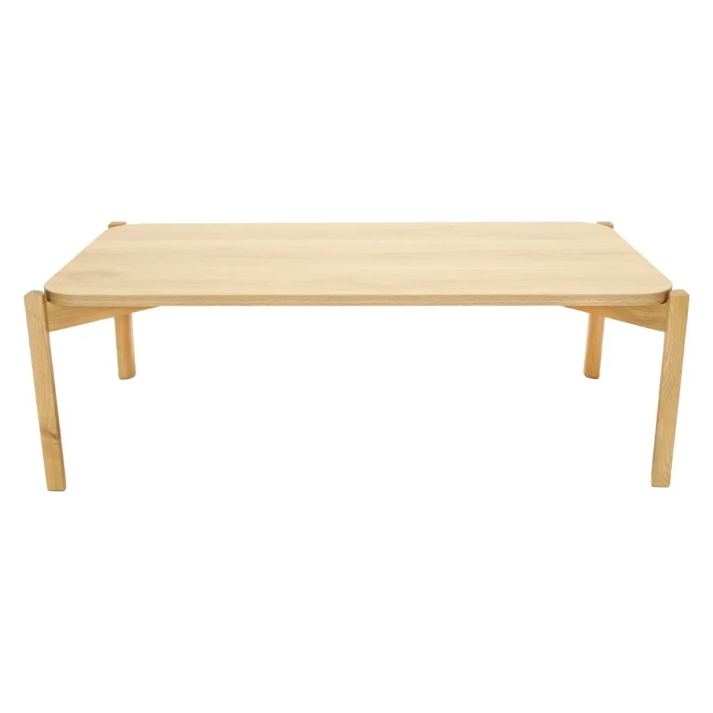 Mesa Rec Palu 100x50 3