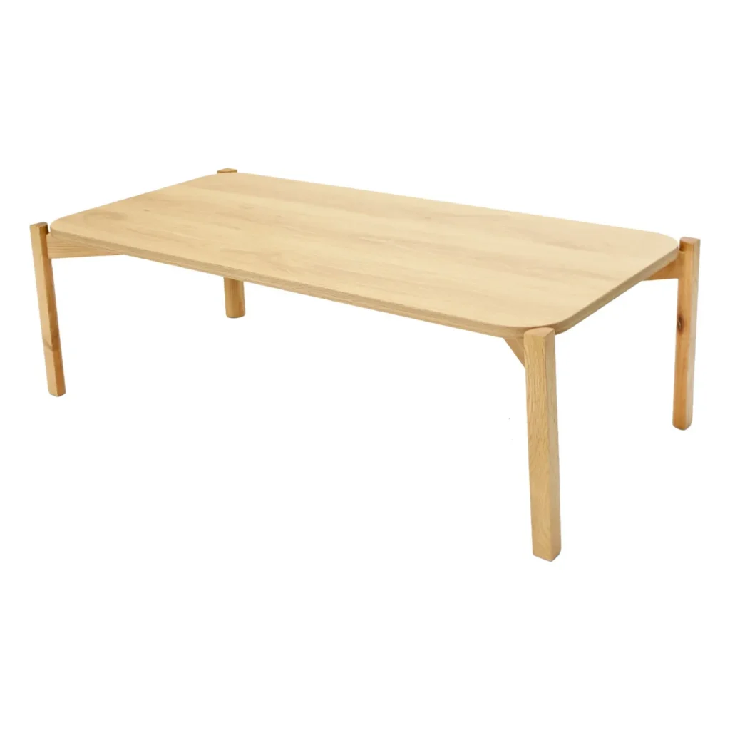Mesa Rec Palu 100x50 4