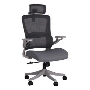 Silla Neutron A